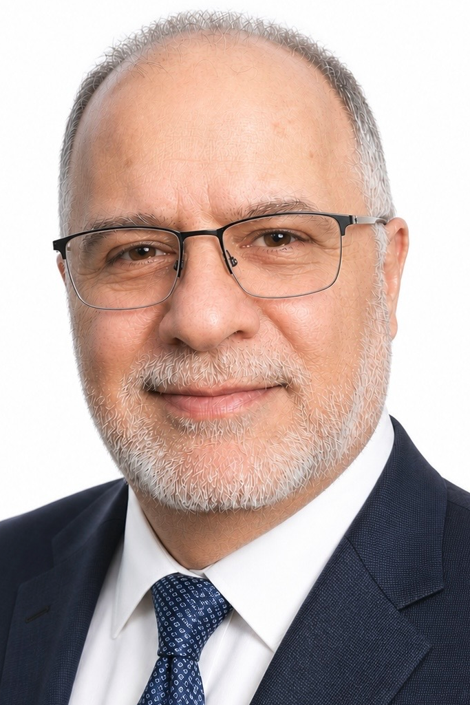 Mohammad N. Haghighi